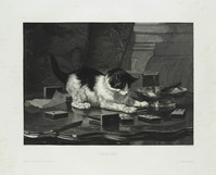 KG 08225
<br/>
'Domino' (Spelende kat)
<br/>
<em>Steelink, Willem (sr.) (1826-1913)</em>